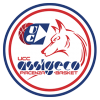 UCC ASSIGECO PIACENZA Team Logo
